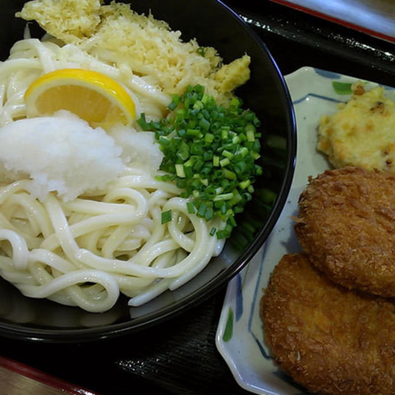 おろしぶっかけうどん・冷・大(おおみねのうどん屋さん )