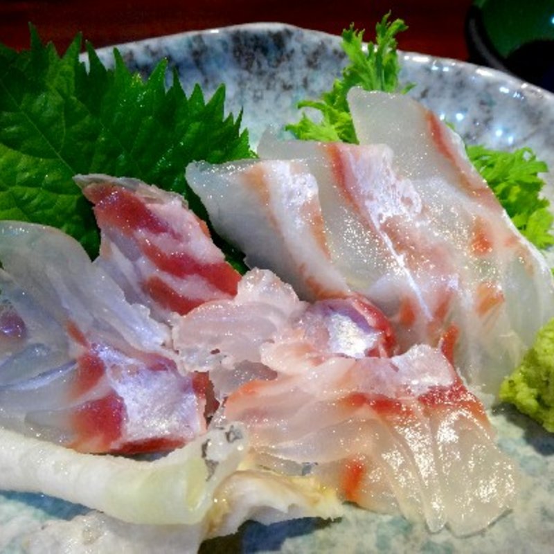 活〆はた刺身(長崎)(おだい処近次)