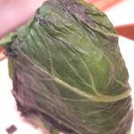 広島菜巻(おむすび村)