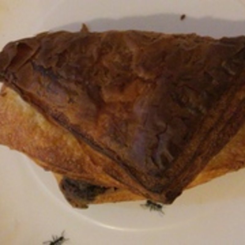 ヘーゼルナッツオーガニックショコラ(ガーデンハウス クラフツ （GARDEN HOUSE CRAFTS）)