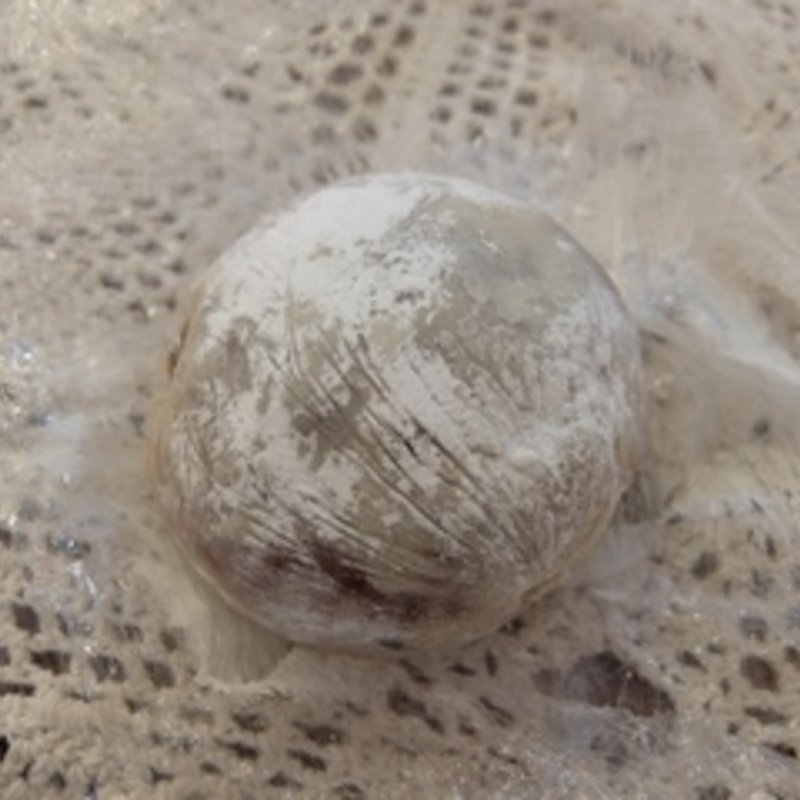 国産栗とドライカシスのシュトーレン(ガーデンハウス クラフツ （GARDEN HOUSE CRAFTS）)