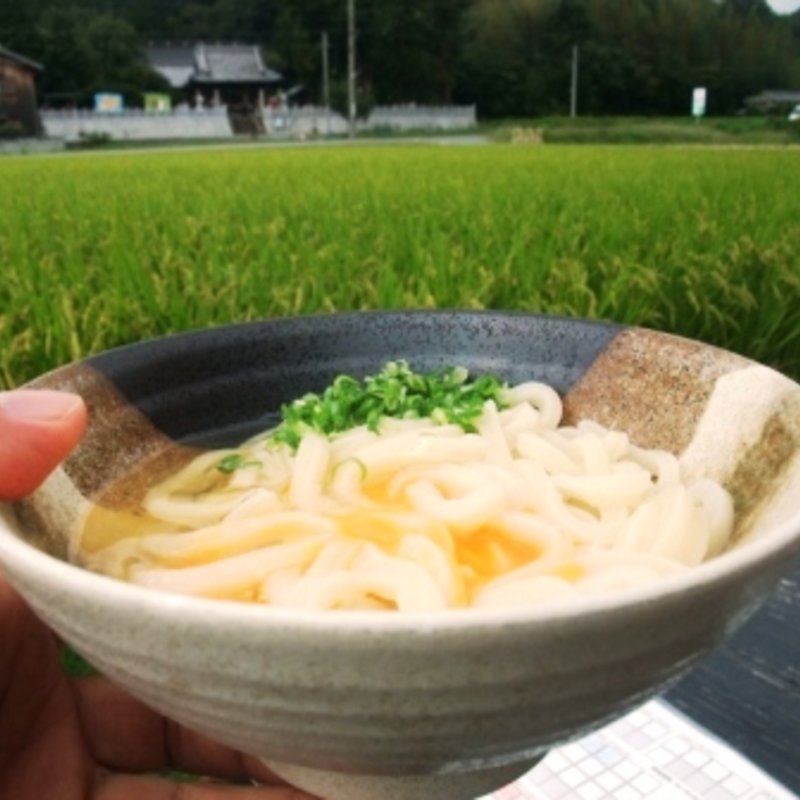 釜玉うどん(がいな製麺所)