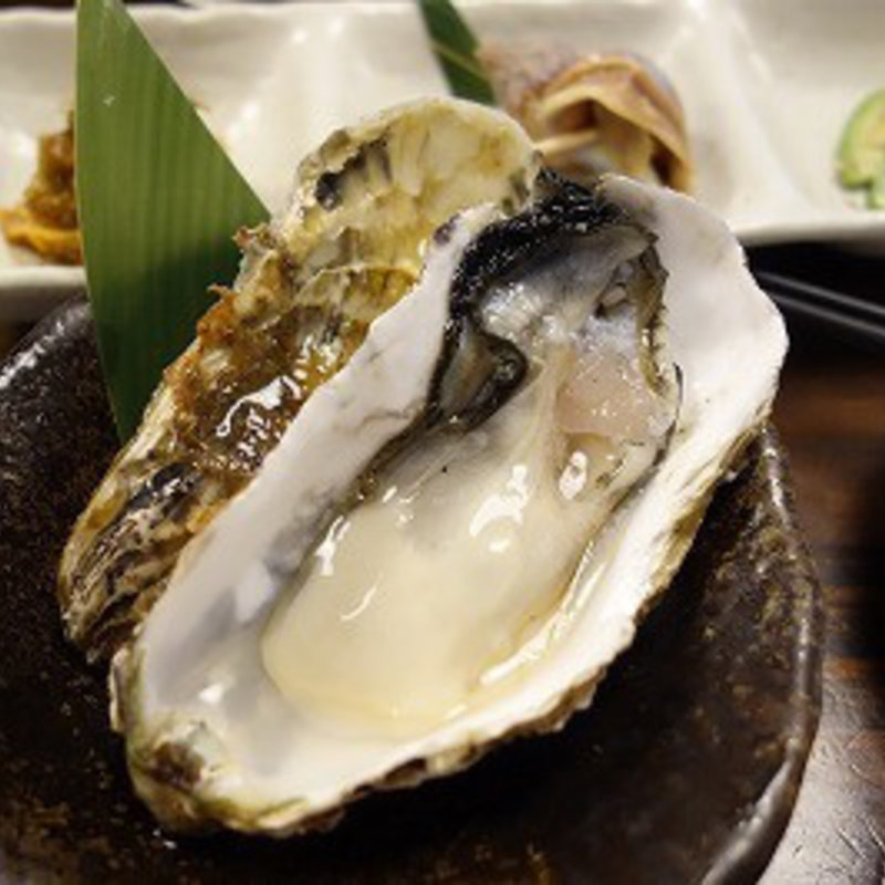 生牡蠣(かいのみ四谷店)