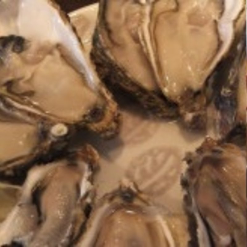 生牡蛎(銀座 かきしゃぶ屋)