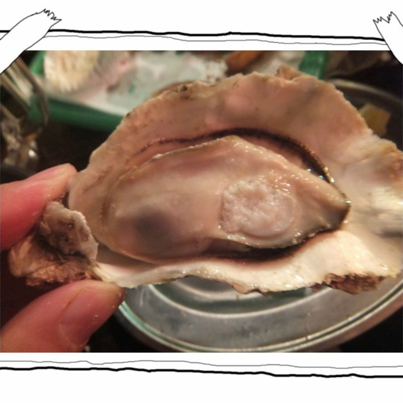 生牡蠣、焼き牡蠣、カキフライが食べ放題！フィーバーセット！(かき小屋フィーバー1111 )