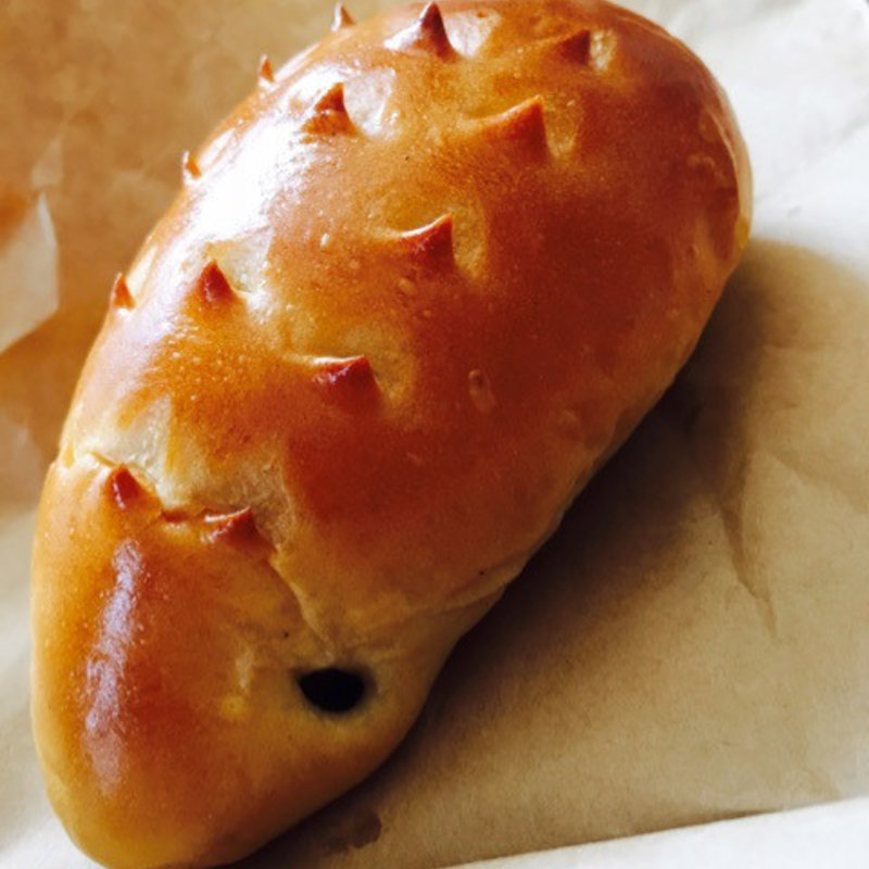 ハリネズミ(かし是 )