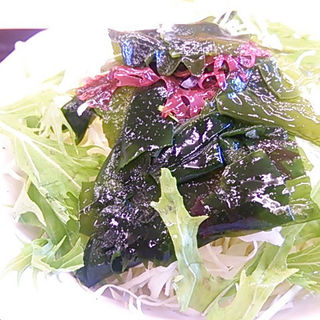 サラダ(かつや)
