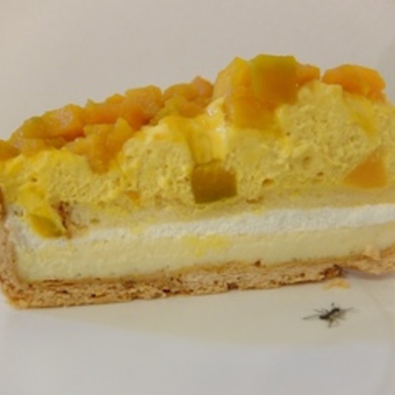 かぼちゃブリュレのタルト(キルフェボン)