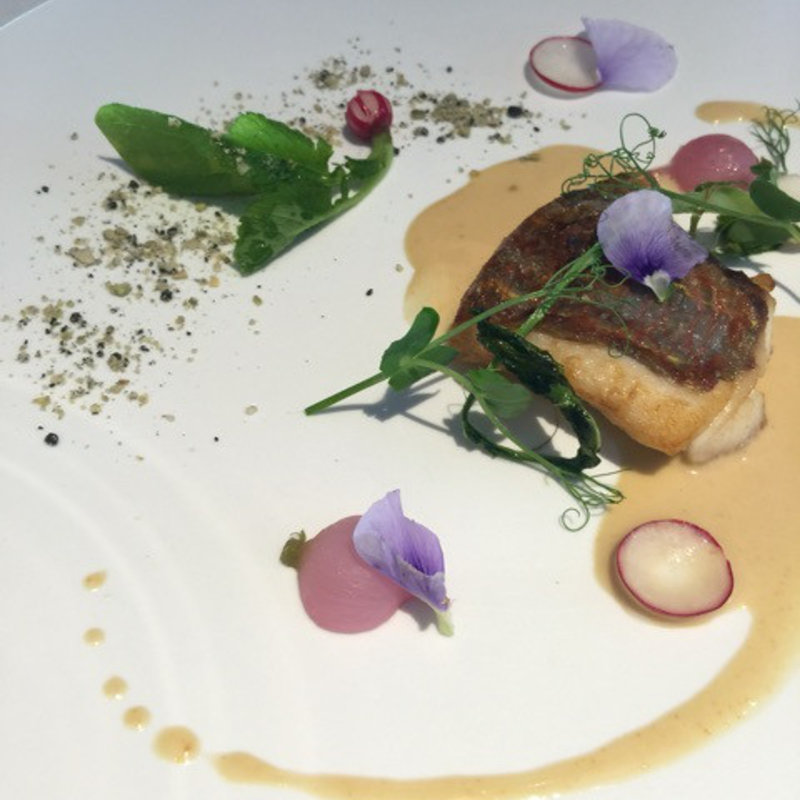 ランチ(コシモ・プリュス)