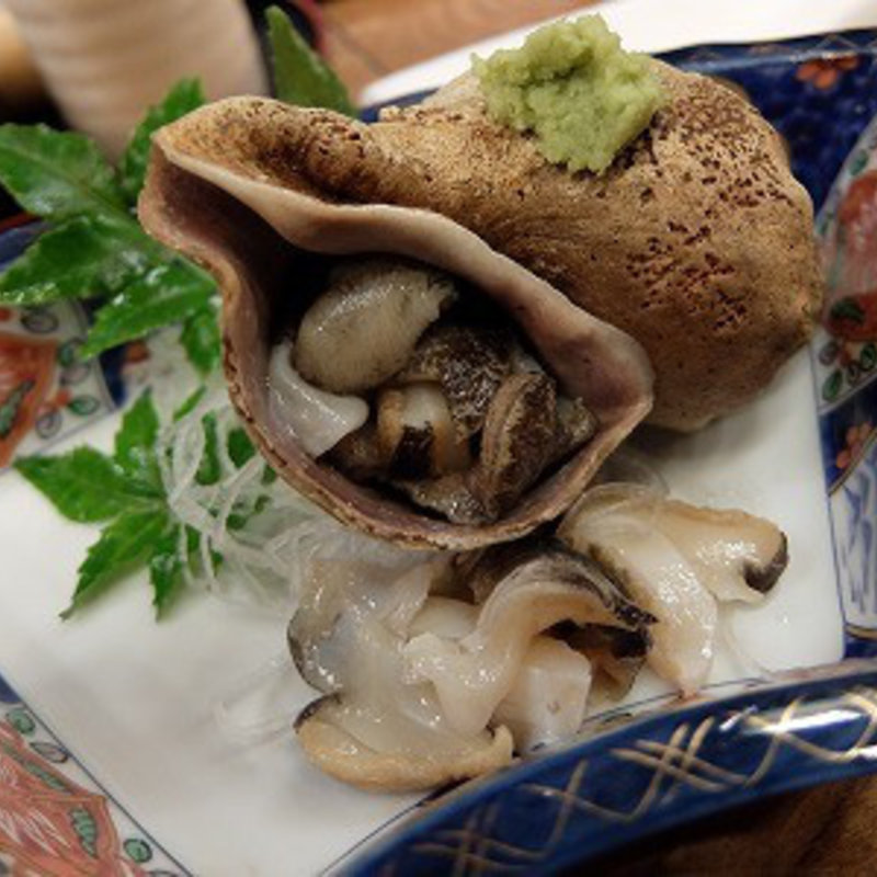 活青ツブ刺身(ごじゃらし )