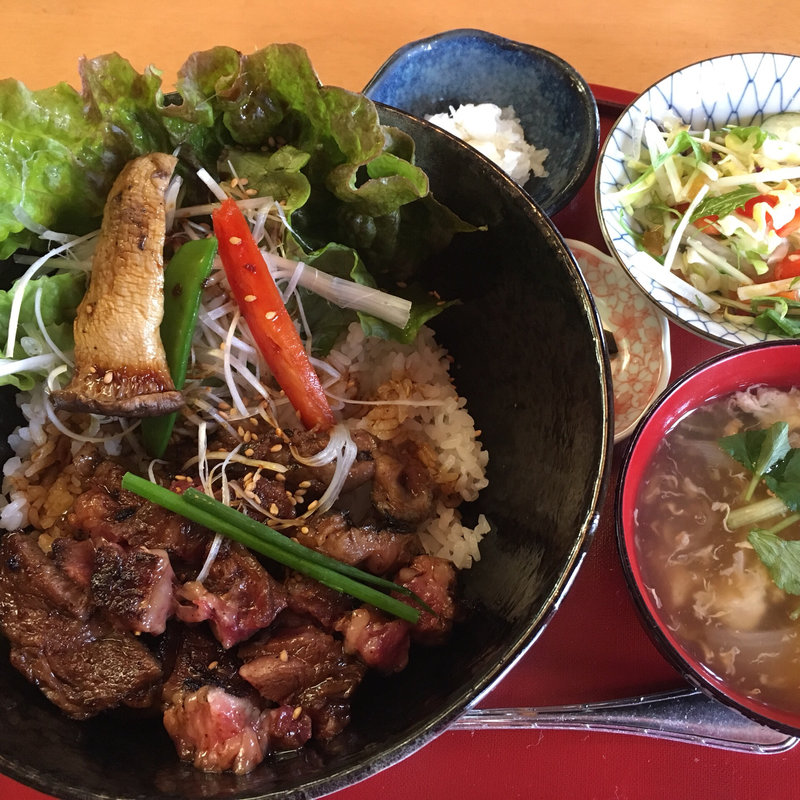 炭火焼ステーキ丼(土佐屋)