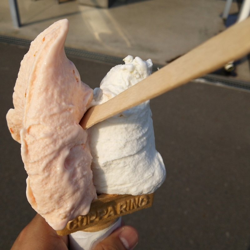 ジェラート（シャインマスカット味・プチトマト味）(ジェラート工房　Ｈａｐｐｙ　笠岡店)