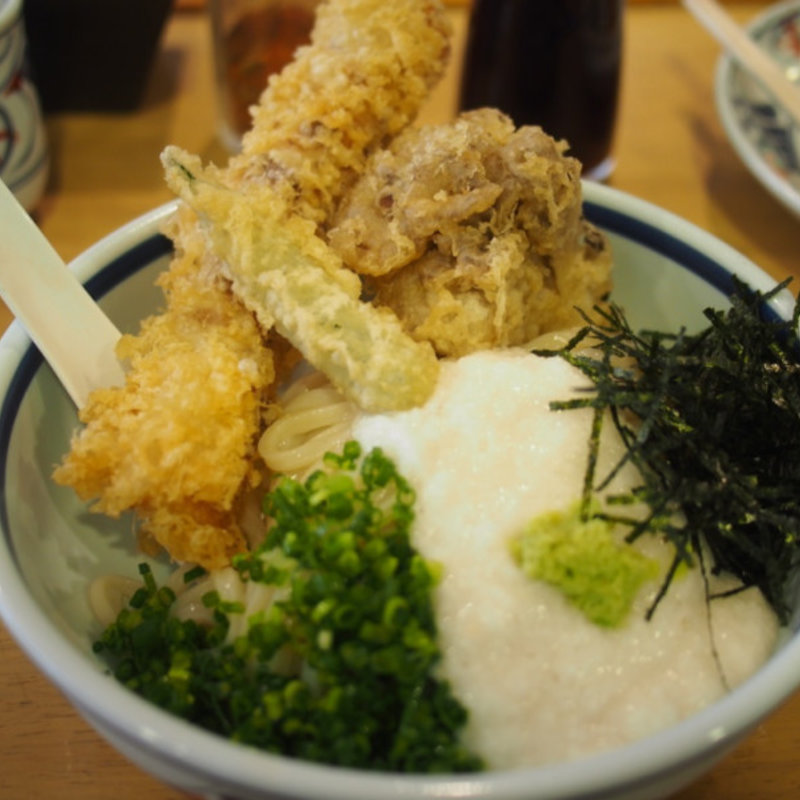 とろろわさびじょうゆうどん(じょんならん)