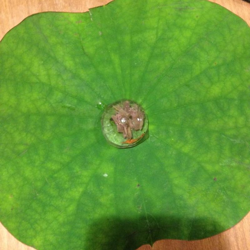 朝露 梅昆布茶(セララバアド)