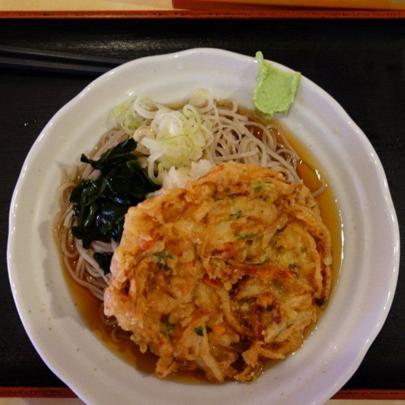 冷しかき揚げおろしそば(つだ沼そば)