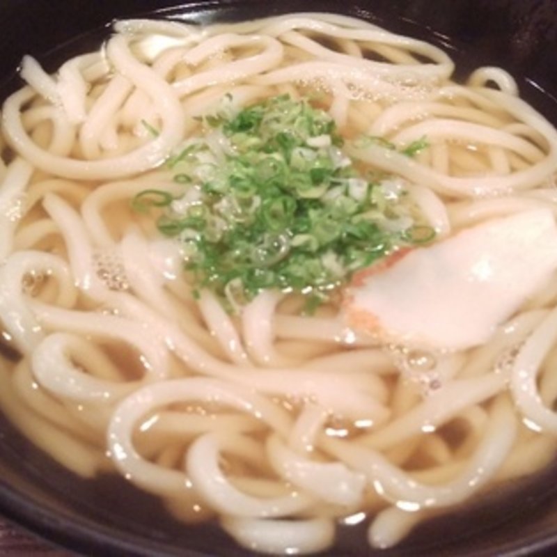 かけうどん(伊予の手造りうどん 名代 つるちゃん （つるちゃん）)