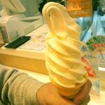 栃木の牧場　ソフトクリーム