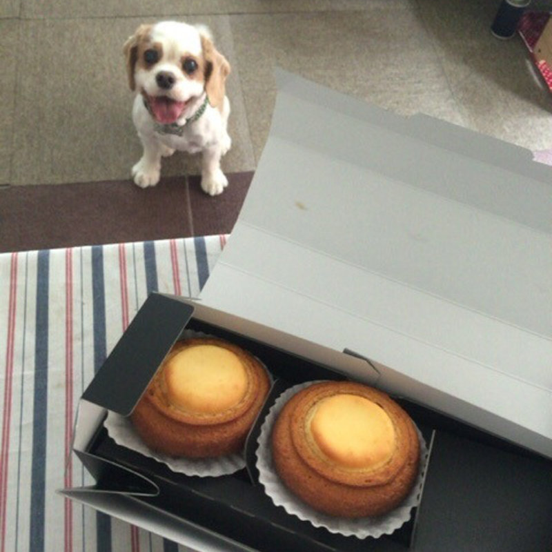 バウムクーヘンの中にクリームチーズが流し込まれ焼かれたケーキ(ザ バウム （THE BAUM）)