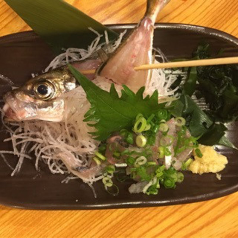 鯵刺身(個室居酒屋 海鮮料理 さかなや道場 荻窪駅南口店)