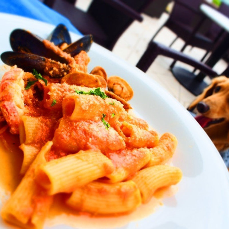 リガトーニ　赤海老と魚介のラグーソース(Atlantic(アトランティック)横浜ベイクォーター)