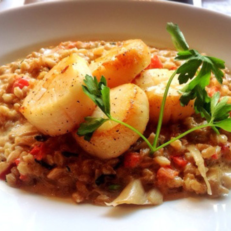 ホタテのロースト、ファロと舞茸のリゾット(CICADA)