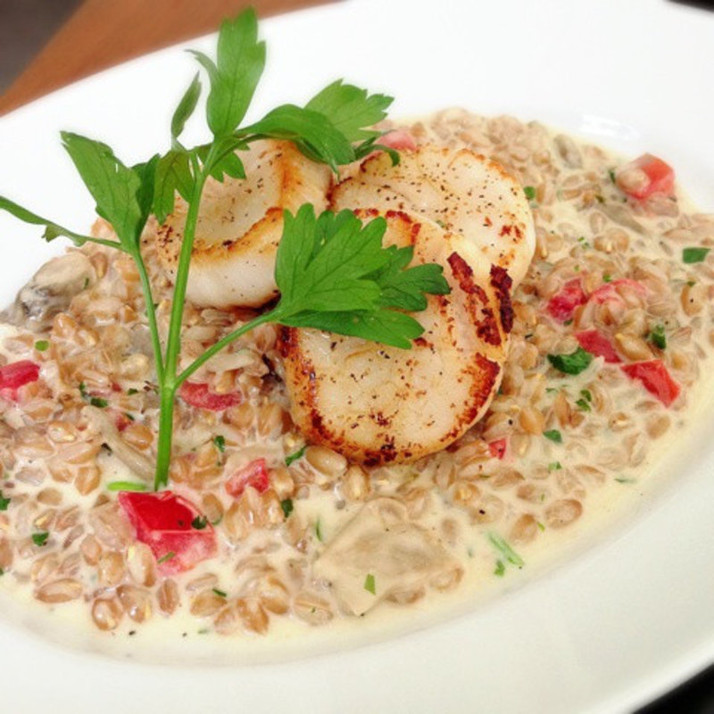 ホタテのロースト、ファロと舞茸のクリームリゾット(CICADA)