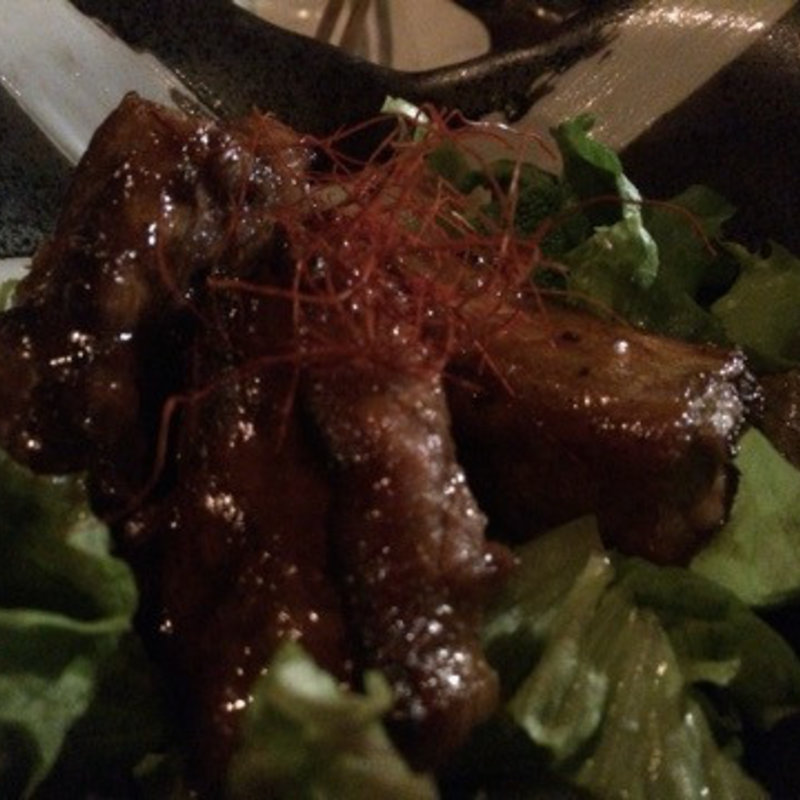 ｽﾍﾟｱﾘﾌﾞ(ジュラシック)