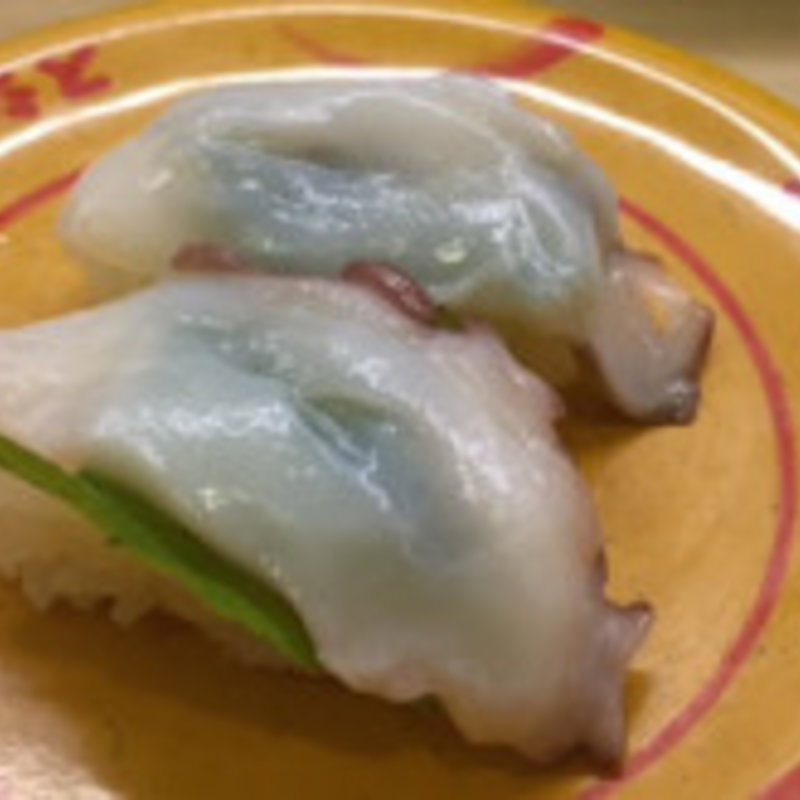 生たこ(スシロー ミューザ川崎店)