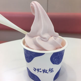 いちごソフトクリーム(マザー牧場CAFÉ ラゾーナ川崎プラザ店)