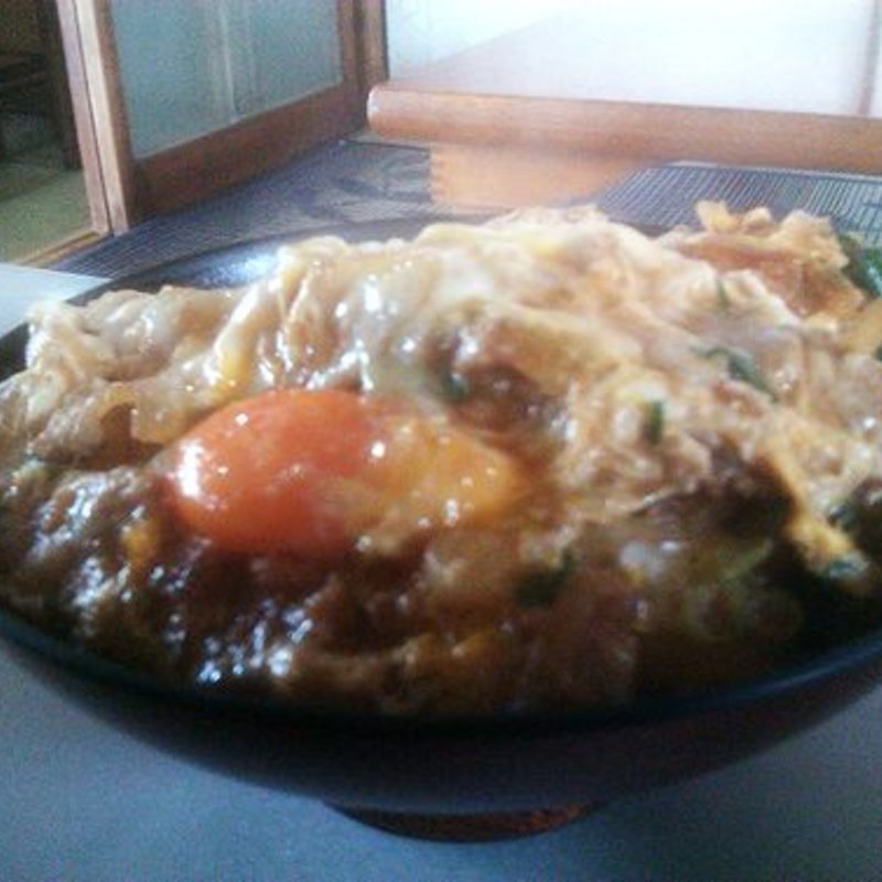 かつ丼(とのい )