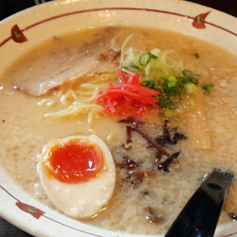 とんこつラーメン大盛り(とんこつ家 石井店 （とんこつや）)