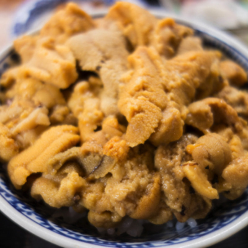 ウニ丼(ぬいどう食堂)