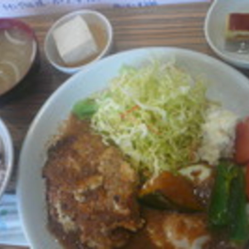 とうふハンバーグ定職（とうふ12ハンバーグ半分12）(ハンバーグこが 小鹿店 )