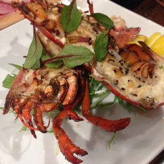 カシュカシュ限定10食ランチ　和牛すじ肉のカレー(ビストロ・カシュカシュ)