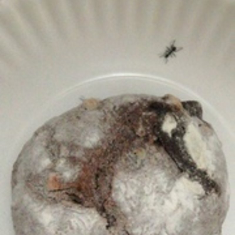 シャノワール(ブルディガラ東京)