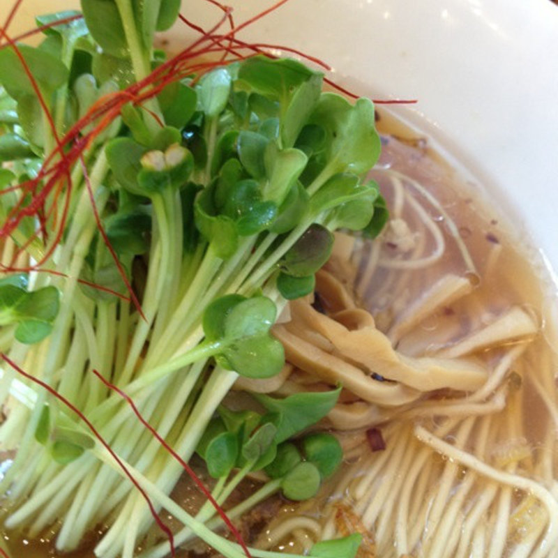 醤油SOBA(麺屋Hulu-lu（フルル）)