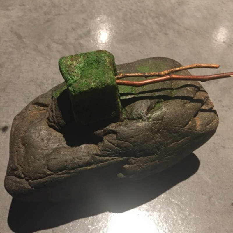 投影　蕗の薹(フロリレージュ （Florilege）)