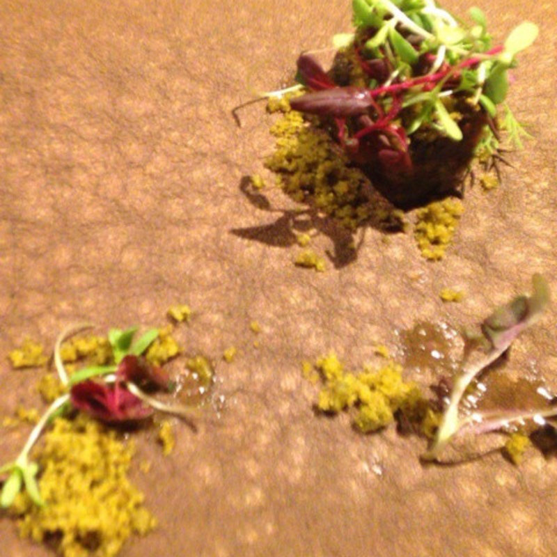 破壊と創造　スッポン 緑茶(フロリレージュ （Florilege）)