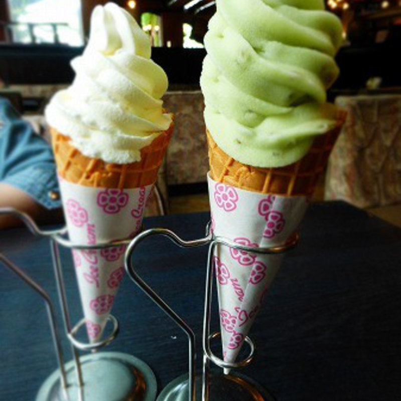 北海道プレミアムバニラ(ヘラ )