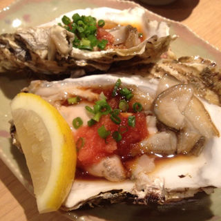 牡蠣(まぐろと魚貝とうまい酒　 寿し常 成増店)