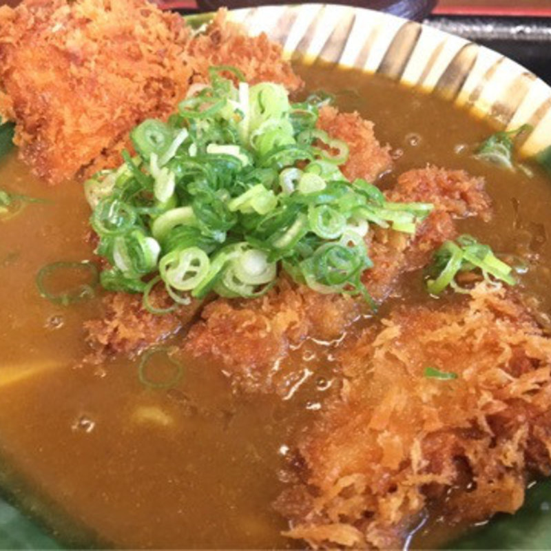 三元豚ｶﾂｶﾚｰうどん(みくりやうどん)