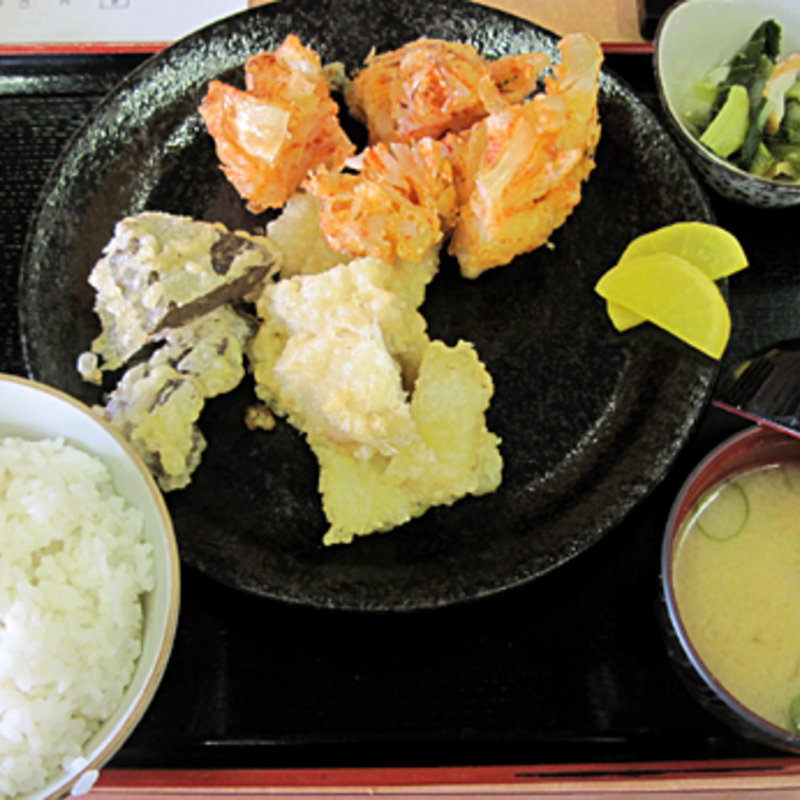 ホルモン天ぷら定食(みなと食堂 )