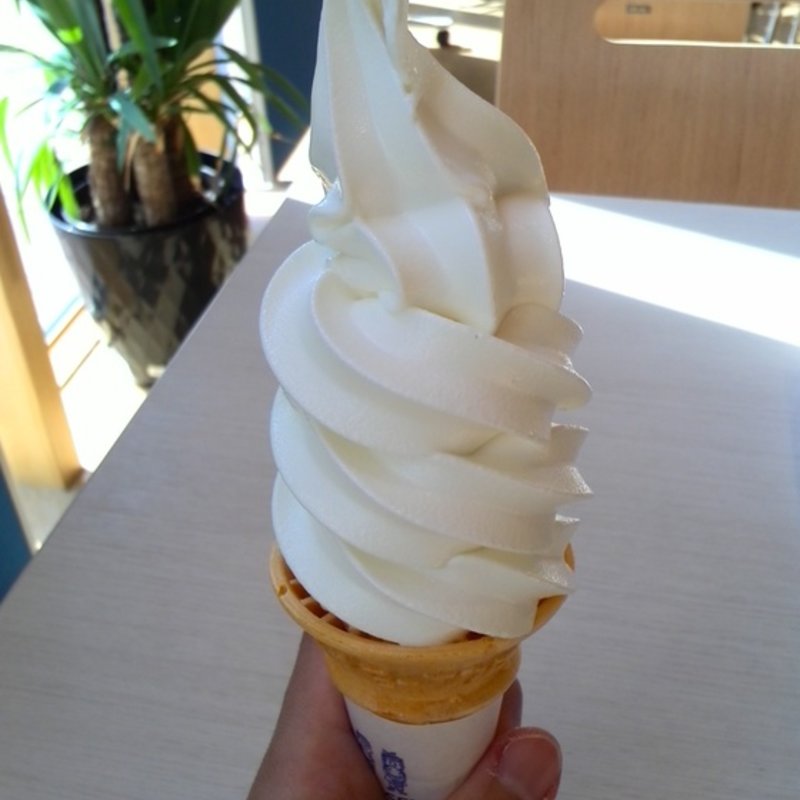 濃厚ソフトクリーム(ミルキーベル サーモンパーク店 )