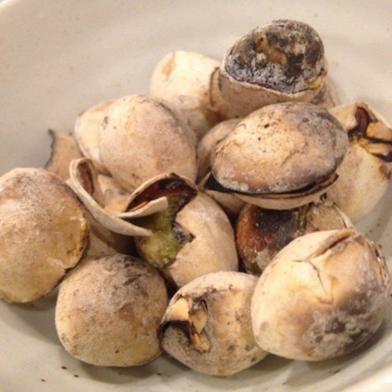 銀杏(むてっぽう )