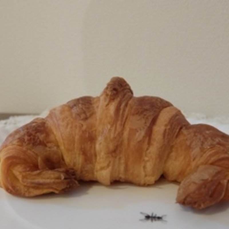 クロワッサン 日本のバター(Maison Landemaine)