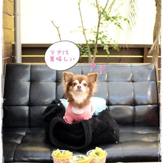 マナボウル Half(モンサラット ブランチ クラブ)