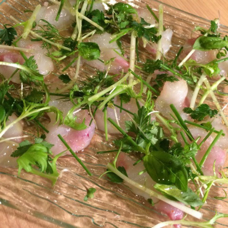 メゴチのカルパッチョ(やくけっちゃーの )