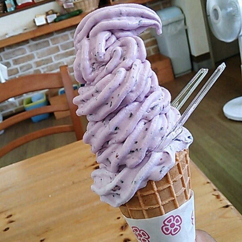 ブルーベリージェラート(やさとブルーベリーファーム )