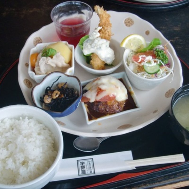 ランチプレート(やまぶきの里レストラン　宇野屋 )