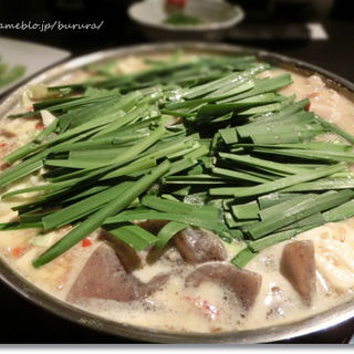 もつ鍋 味噌味(博多もつ鍋 やま中 赤坂店)